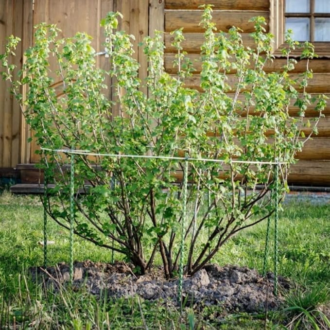 36 Inch Fiberglass Eco Friendly Garden Stakes 3ft 50 Pack - Durable, Lightweight, Tomato, Tree, Strawberry, Plant, Support Fencing Stakes with Patterned Surface, 5/16" Diameter