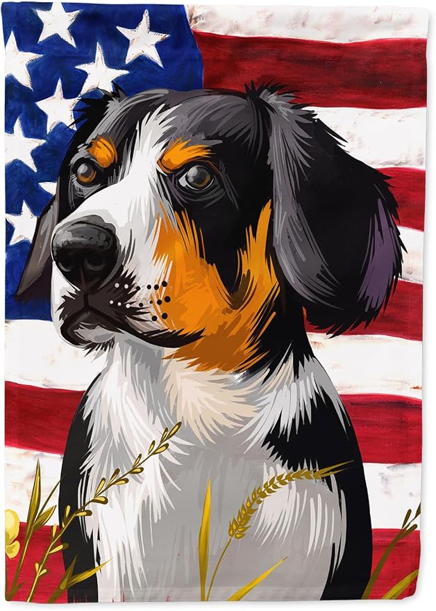 Caroline's Treasures CK6516CHF Entlebucher Mountain Dog American Flag House Flag Large Porch Sleeve Pole Decorative Outside Yard Banner Artwork Wall Hanging, Polyester, House Size, Multicolor