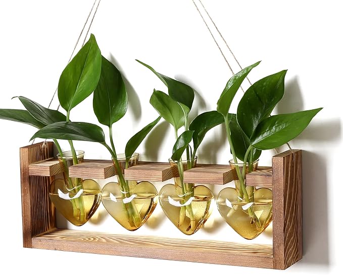 Plant Propagation Stations Heart Plant Terrarium Kit | Gift for Women Plant Lover Glass Vases