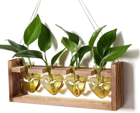 Plant Propagation Stations Heart Plant Terrarium Kit | Gift for Women Plant Lover Glass Vases