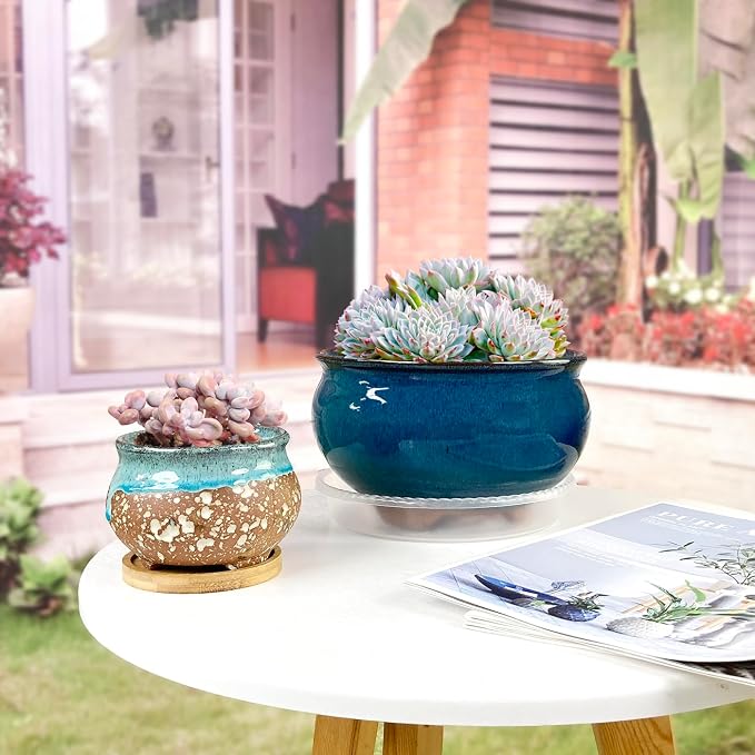 8 Inch Succulent Pot with Drainage and Saucer Glazed Terracotta Round Ceramic Succulent Planter Cactus Bonsai Plant Pot (Dark Green)