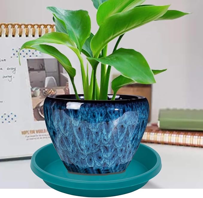 NIMYAU Plant Saucers 10 Inch Round 2 Pack Plastic Heavy Duty Drip Trays for Indoor Outdoor Use