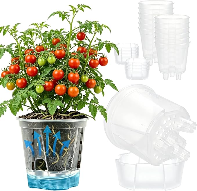 Cdd's Path 5 Inch Clear Self Watering Pots Set, 12 Pack Naked Root Planter with Deep Water Tank, Large Drainage Holes, Reservoir & Air Pipes for Indoor Outdoor Plants, Flowers, Seedlings