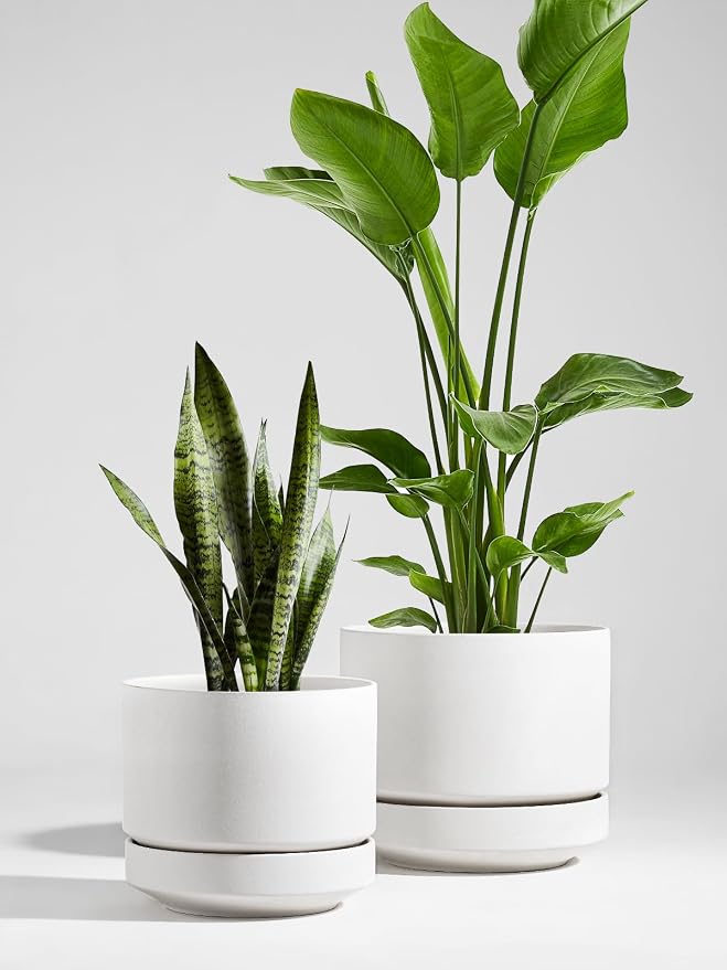 LE TAUCI Large 14 Inch Plant Pot with Saucer | Ceramic Outdoor & Indoor Big Planter Pot | Drainage Hole, Mesh Pad | Unglazed Porous | Modern Minimalist for Home and Patio – Chalk White