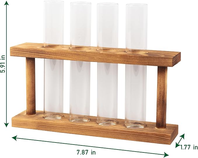 D'Eco Glass Plant Propagation Station (Set of 4 Tubes w Wooden Display) - Grow Hydroponics & Watch Them Grow Roots - Tabletop Vases for Spring Home & Office Decor for Plant Lovers