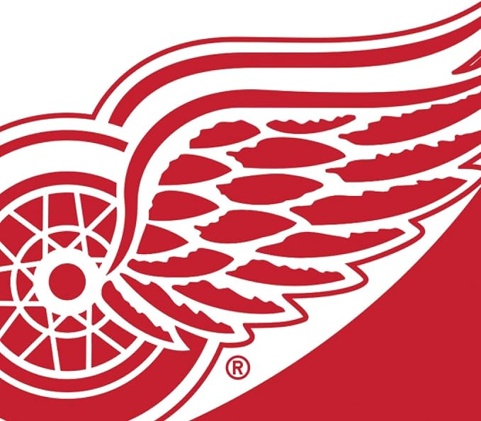NHL Detroit Red Wings House Flag, 28 x 44, Double Sided Garden Flags for Outside, Outdoor Flags & Banners for Gardens Patio, Indoor Wall Decor Flag for Room