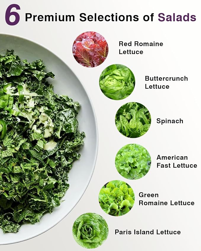 Salad Greens Seed Pod Kit for AeroGarden, iDoo with Red and Green Romaine Lettuce, American Fast/Buttercrunch/Parris Island Lettuce, and Spinach - Compatible with All Hydroponics (12-Pod)