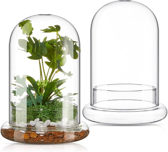 2 Pcs 5.9 x 7.9 Inch Glass Terrarium Dome Cloche with Air Hole & Glass Base, Clear Terrarium Containers Ventilated Plant Humidity Dome for Carnivorous Plants Orchids Tropical Cuttings, No Leakage
