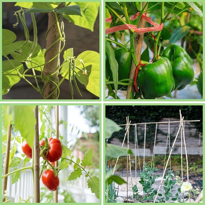 PFNRTH Bamboo Plant Stakes – 25pcs 4FT Natural Bamboo Garden Stakes for Tomatoes, Peppers, Beans, Indoor & Outdoor Plants, Sturdy Plant Support for Seedlings & Potted Plants
