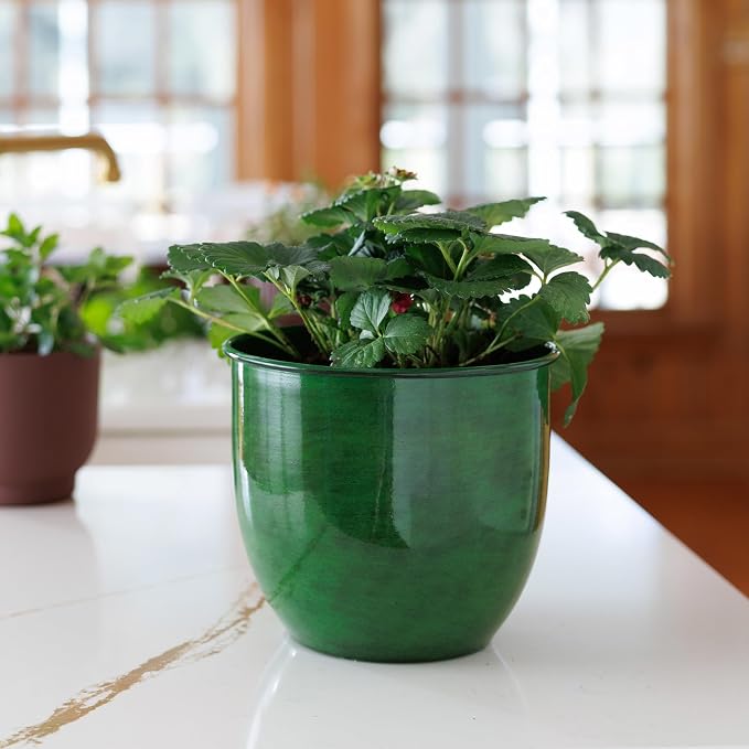 Bloem Canyon 8" Indoor Metal Cachepot - Glossy Decorative Planter with Powder-Coated Finish, Removable Drain Plug, Basil