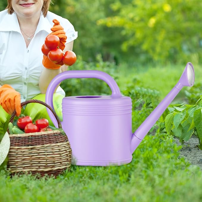 2 Gallon Watering Can for Indoor Plants, Garden Watering Cans for Outdoor Plant House Flower, Modern Plant Watering Can Large Long Spout with Sprinkler Head