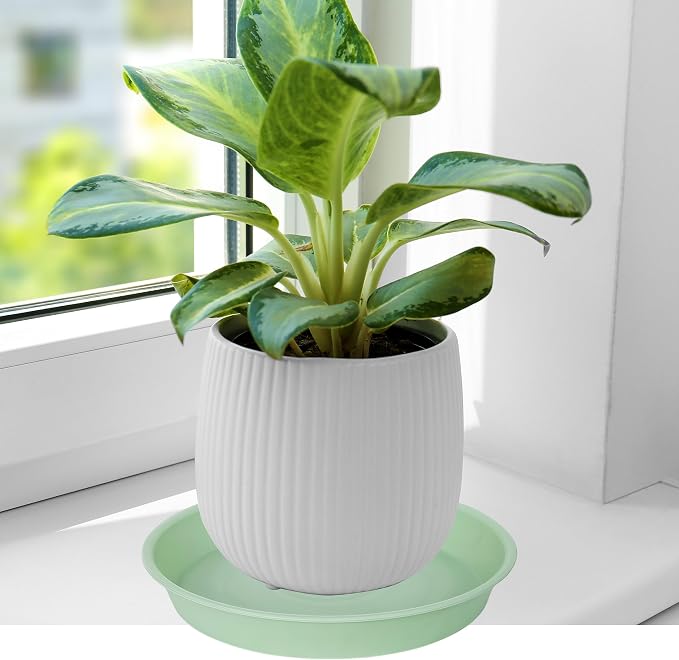 2 Pack of 10 inch Plant Saucer Gray, Heavy Duty Plastic Plant Saucer 10 inch Round, Durable Plant Tray for Pots, Plant Saucers for Indoors, Plant Trays for Planter 9"/10" (10", Light Green)