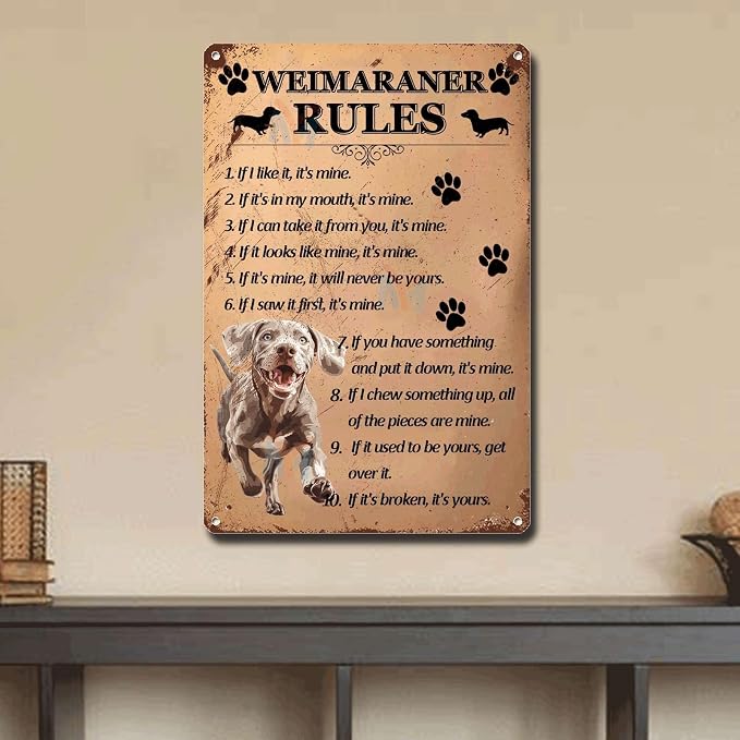 Metal Sign Tin Sign Vintage Wall Art Weimaraner Rules Tin Sign Paper for Club 12×16 Inches