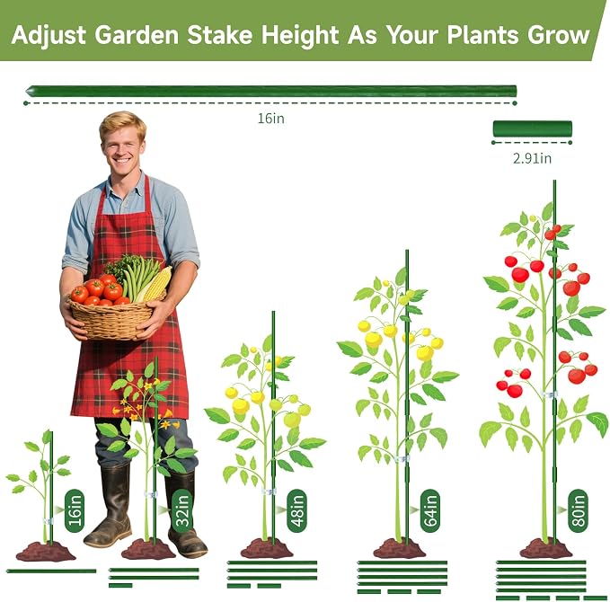 70pcs Garden Stakes Set, 16 Inches Plastic Coated Metal Plant Sticks Stakes Supports, DIY 4ft 5ft 6ft 7ft 8ft Tomato Stakes for Growing Climbing Tomato Vegetables Flowers Pepper, Versatile Ues