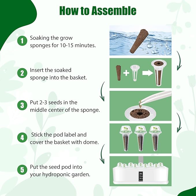 Oregano Seed Pods for All Hydroponics Growing Systems, 12 Pods Herb Kit with 600+ Seeds of Oregano, Grow Your Own Herb Garden at Home