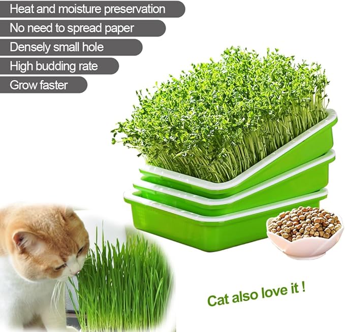 Seed Sprouter Tray with Lid BPA Free PP Sprouting Kit for Beans, Wheatgrass | Food-Grade PP, Soil-Free Large Capacity, Drainage Sprouting Kit for Mung Beans, Microgreens & Hydroponic Growing