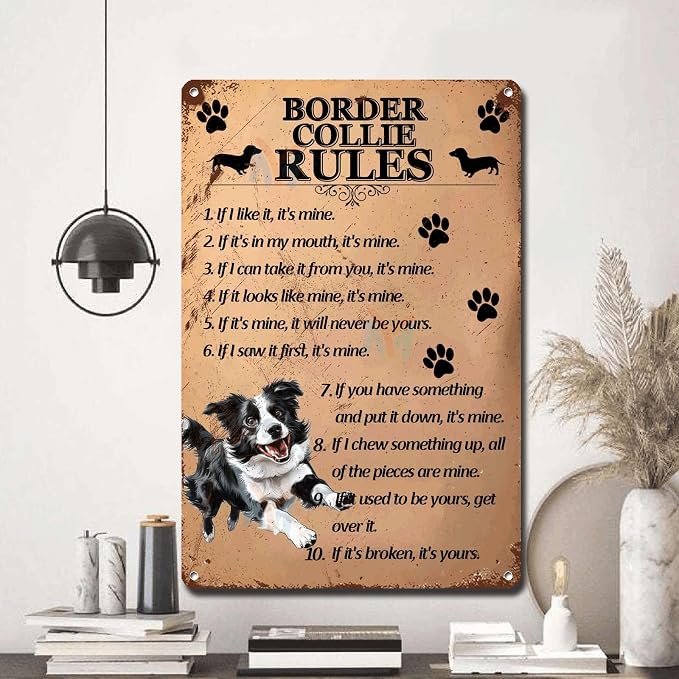 Metal Sign Tin Sign Vintage Wall Art Border Collie Rules Tin Sign Gift for Room 8×12 Inches
