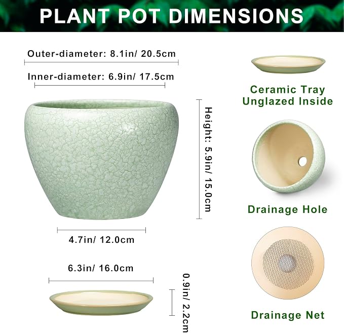 Ceramic Planter, 8 Inch, Crackle Light Green | Drainage Hole and Saucer, Indoor Outdoor Use, Decorative Flower Pot, Office Decor