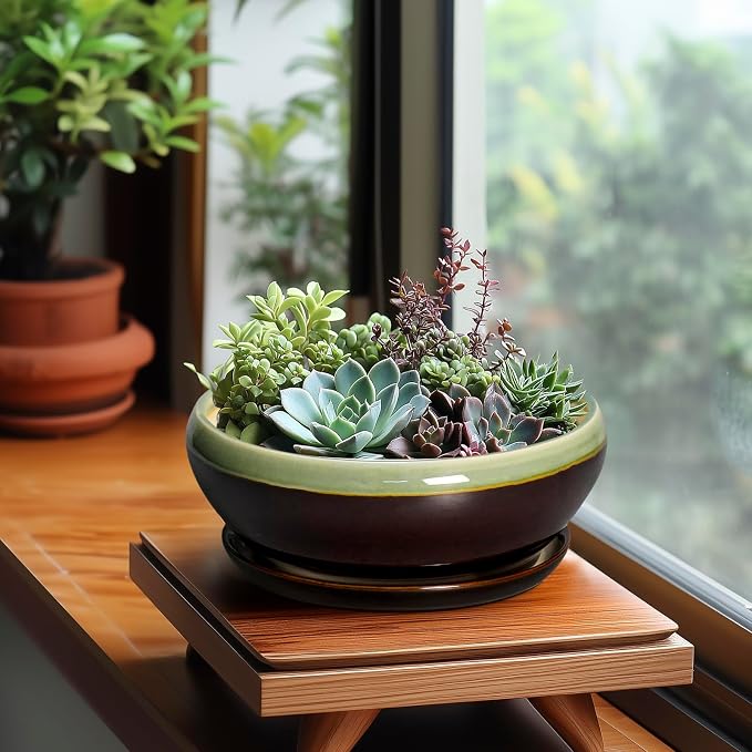 SQOWL Bonsai Pots 8 Inch - Ceramic Succulent Planters with Drainage Hole and Tray, Round Shallow Planter for Indoor Plants, Ceramic Planter Bowl Outdoor, Living Room Decor, Garden Gift, Green-Brown