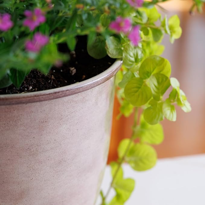 Bloem Canyon 14" Indoor Metal Cachepot - Glossy Decorative Planter with Powder-Coated Finish, Removable Drain Plug, Cream