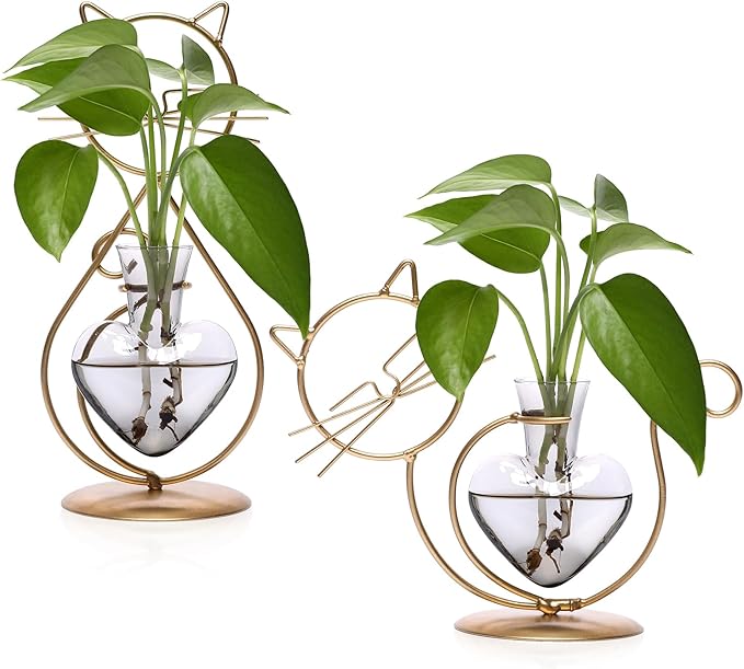 Plant Terrarium Plant Propagation Station Cat Lover Gifts for Women | Plant Lovers Home Office Decor Cat Desk Accessories