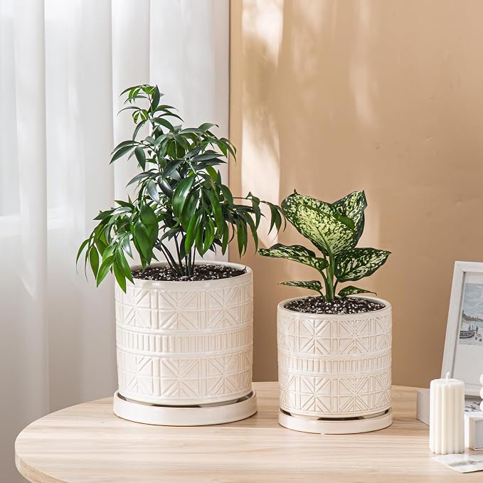 Ceramic Plant Pots Indoor-Outdoor: 6 Inch Embossed Planters with Drainage Hole & Saucer - Modern Decorative Flower Pots for Home Garden Patio Office Decor