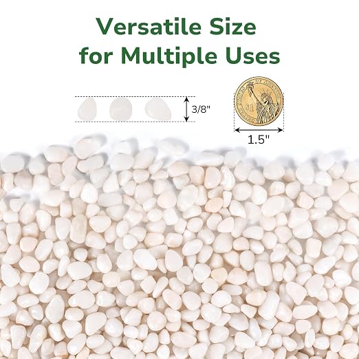GreatBuddy 5-lb Decorative Rocks for Indoor Plants, 3/8" White Pebbles, Small Rocks for Potted Plants, Succulent, Vases, Aquariums, Fish Tanks, Garden Landscaping, Natural Polished