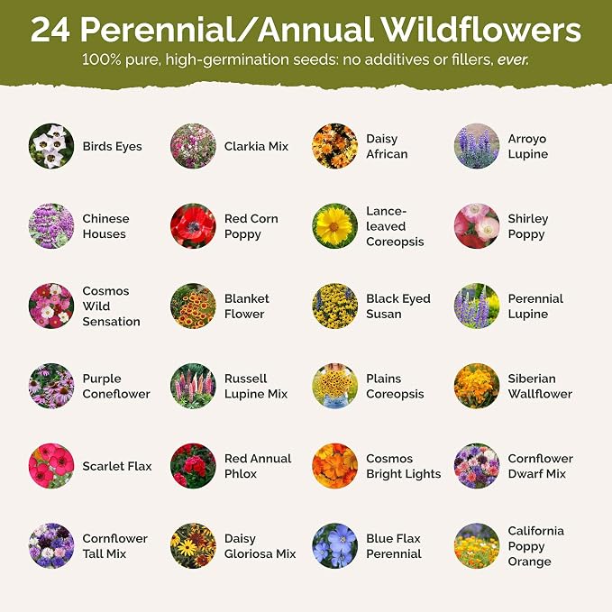 Eden Brothers Oklahoma Wildflower Mixed Seeds for Planting, 1 lb, 480,000+ Seeds with Lupine, WallFlower | Attracts Pollinators, Plant in Spring or Fall, Zones
