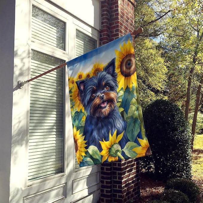Caroline's Treasures DAC6000CHF Affenpinscher in Sunflowers House Flag Large Porch Sleeve Pole Decorative Outside Yard Banner Artwork Wall Hanging, Polyester, House Size, Multicolor