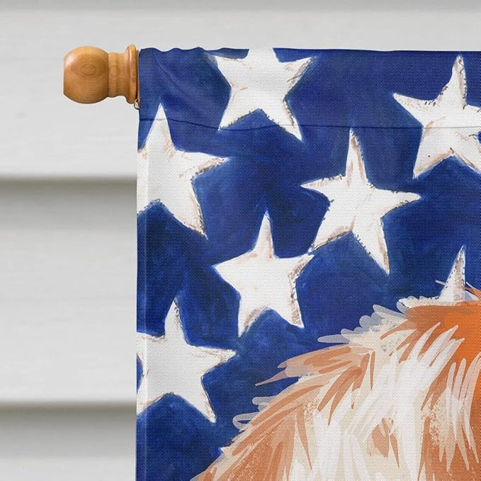Caroline's Treasures CK6575CHF Istrian Shorthaired Hound American Flag House Flag Large Porch Sleeve Pole Decorative Outside Yard Banner Artwork Wall Hanging, Polyester, House Size, Multicolor