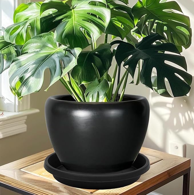 NIMYAU 5 Pack Plant Saucer 10 Inch, Plastic Plant Saucers for Indoors, Drip Trays for Potted Plants, Flower Pot Saucers, Plant Trays for Pots, Plant Water Catcher Tray