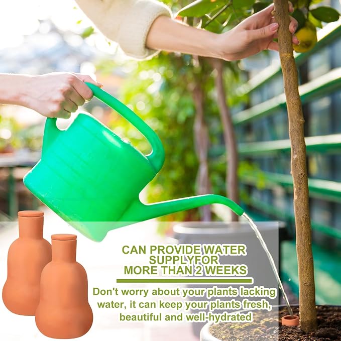 Blushtier 2 Pcs Olla Terracotta Watering Globes 6.3 Inch Olla Self Watering Pot with Lid Clay Plants Self Irrigate System Plant Irrigation Insert Spikes for Indoor Outdoor