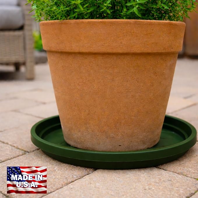 10 Inch Plant Pot Tray USA Made – Durable Plastic Flower Pot Saucer – Plant Water Catcher for Indoor Outdoor Garden (6, Deep Forest)