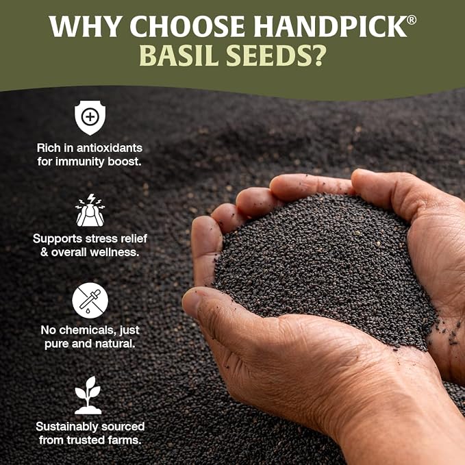 HANDPICK Holy Basil Seeds (397g/14oz) | 2x More Fiber than Chia | Edible Basil Seeds, Gluten free, Raw Sabja, Tukmaria Seeds | Prebiotic | Packed in Resealable Zip Lock Pouch (Packaging may vary)