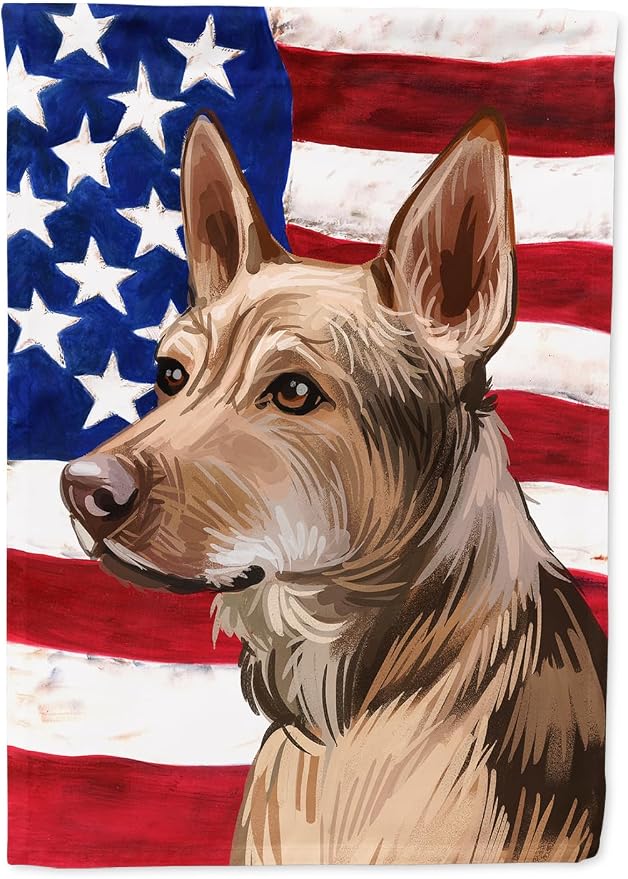 Caroline's Treasures CK6736CHF Telomian American Flag House Flag Large Porch Sleeve Pole Decorative Outside Yard Banner Artwork Wall Hanging, Polyester, House Size, Multicolor