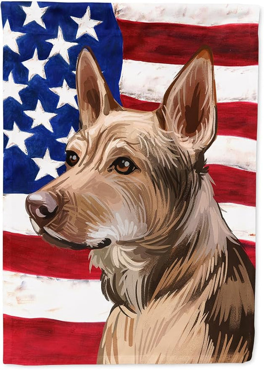 Caroline's Treasures CK6736CHF Telomian American Flag House Flag Large Porch Sleeve Pole Decorative Outside Yard Banner Artwork Wall Hanging, Polyester, House Size, Multicolor