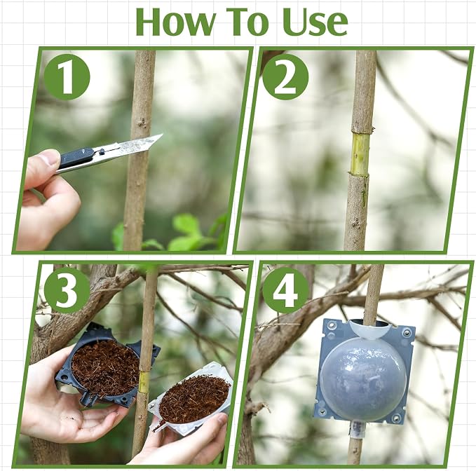 Threehoney 20 Pcs Air Layering Propagation Kit Reusable Half Black Half Transparent Grafting Ball Air Layering Pods Propagation Box Plant Rooting Grafting Box for Plants, Large