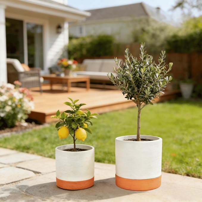 GreenShip Planter Set of 2 (9.8" & 7.8") – Cylinder Planters with Drainage Hole and Planter Saucer, Jun Porcelain Clay & Recycled Resin, Decorate Home,Office & Outdoor,White pots
