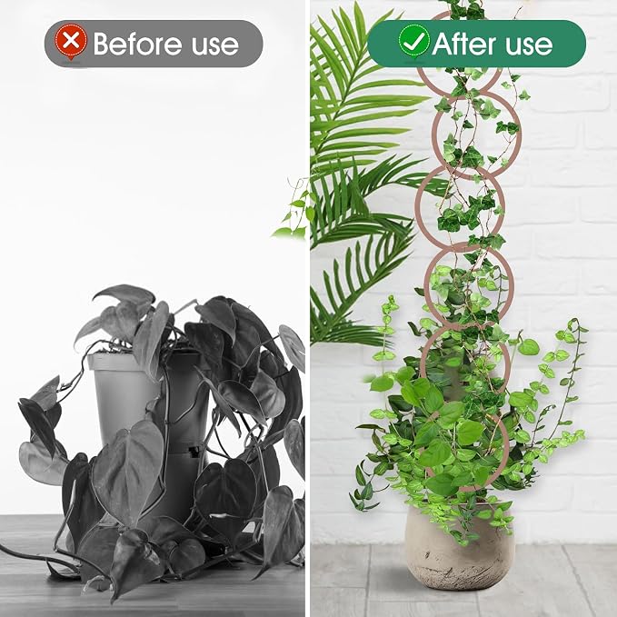 20pcs Round Chain Trellis for Climbing Plants Indoor, with 8pcs Self-Adhesive Hooks, HSSZXFR DIY Plant Climber Support for Vines and Garden Wall Trellis, for Monstera Pothos Ivy Flower
