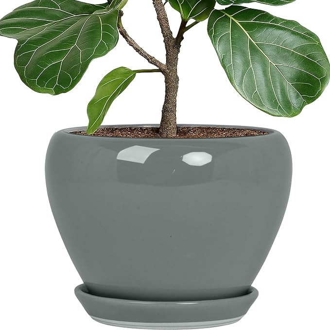 Deep Dream 10 Inch Plant Pot- Ceramic Planter Pot Round Plant Pots for Indoor Plants Outdoor Large Flower Pot with Drainage Holes & Trays, Grey