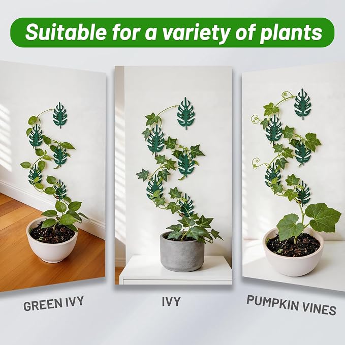 15 Pack Plant Vine Wall Clips - Durable Iron Support Hooks for Climbing Plants, Pothos, and Money Ivy – Adhesive Fixtures for Vertical Growth & Organizing Decor for Indoor and Outdoor Use