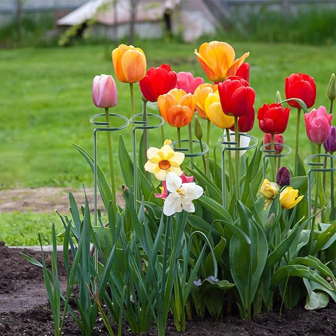 Thealyn 36 Inch 20 Packs Plant Support Stake Garden Single stemmed Plant Support Hoops Plant Prop for Flowers Orchid Tomatoes Peony Lily Rose Gladiolus (36 inch)