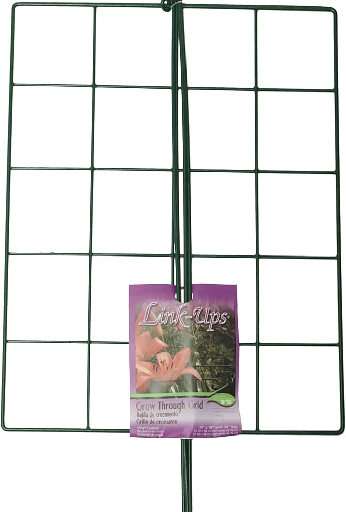 Luster Leaf (970) 24” x 18” Rectangle Grow Through Grid w/ 30” legs