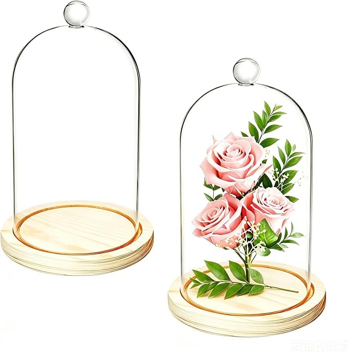 Lyellfe 2 Pack Cloche Glass Dome, 8'' x 5'' Dome Cloche with Rustic Wooden Base, Glass Cloche Bell Jar Display for Plants, Fairy Lights or Table Decor
