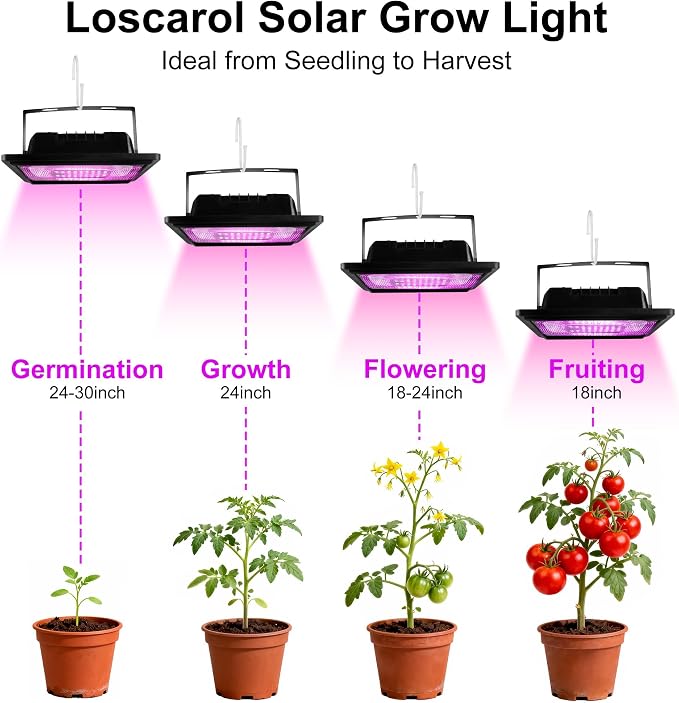 2-Pack Solar Grow Lights, Rechargeable Grow Light, Full Spectrum Plant Light for Indoor Outdoor Plants with Timer, Solar Plant Lights for Greenhouse with Remote Control and 16.4ft Cord/USB Charging
