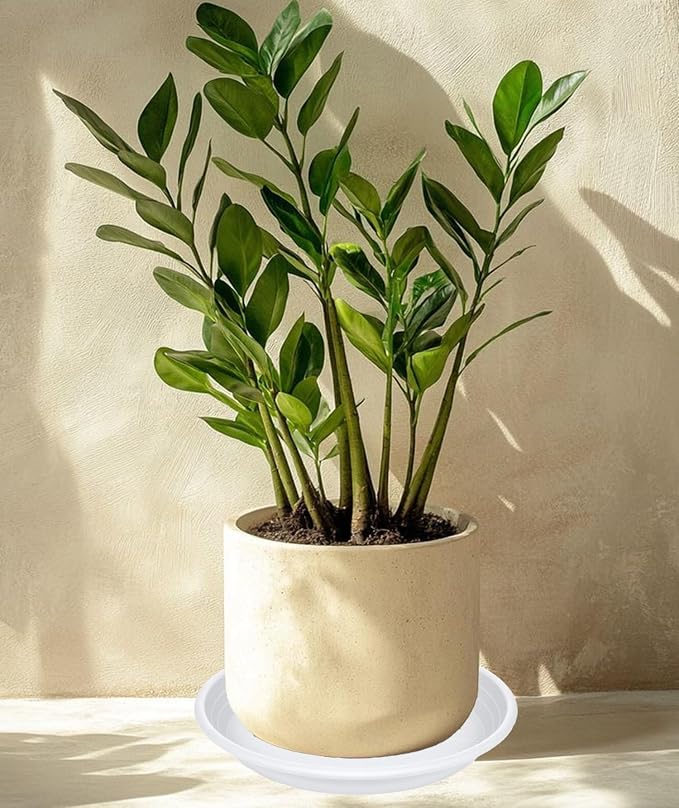 2 Pack of 22 inch Plant Saucer, Large Plant Tray, Heavy Sturdy Plant Drainage Tray for Indoors, Bird Bath Bowls, Sturdy 18 inch Plastic Pot Tray for Planter 19 20 21"(White)