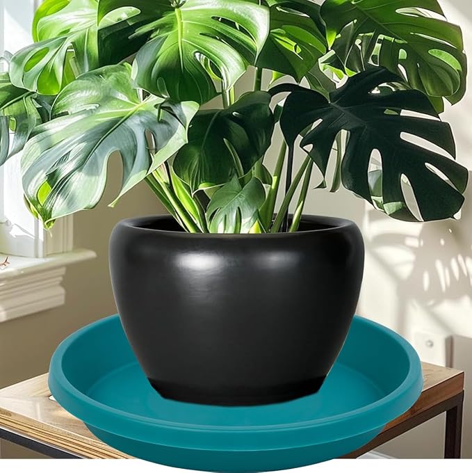 NIMYAU Plastic Plant Saucers 10 Inch Round Pack of 5 Heavy Duty Drip Trays for Indoor Outdoor Use