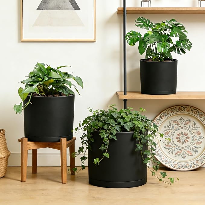 Large Plant Pots Set of 3 – 8", 9", 10" Indoor Flower Pots with Drainage Holes and Saucers, Big Planters for Monstera, Fiddle Leaf Fig, Snake Plant – 5 Colors