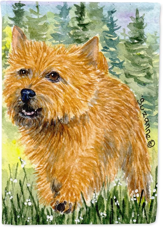 Caroline's Treasures SS8878GF Norwich Terrier Garden Flag Mailbox Flag Decorative Yard Flag Banner Outside Patio Artwork Yard Flower Beds, Garden Size, Multicolor