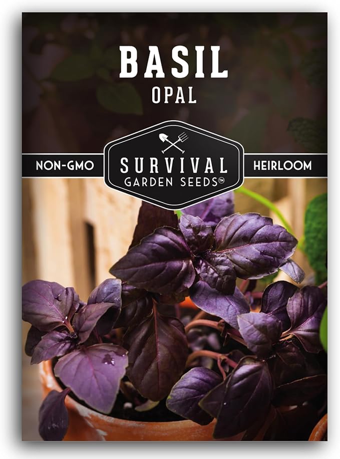 Opal Basil Seeds for Planting - Survival Garden Seeds (1 Pack) | Dark Purple, Nearly Black Leaves - Unique Herb Seed Variety - Heirloom, Non-GMO Herbs for Home Gardens